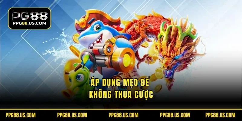 Áp dụng mẹo để không thua cược
