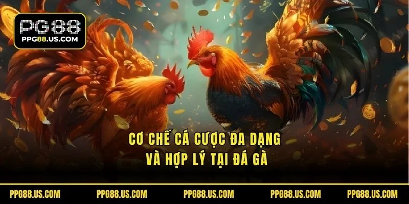 Cơ chế đánh giá đa dạng và hợp lý tại đá gà