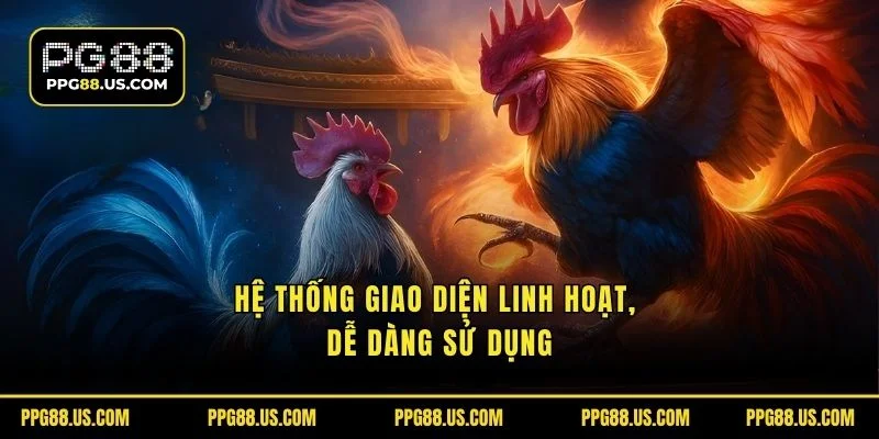 Linh hoạt giao diện hệ thống, dễ dàng sử dụng