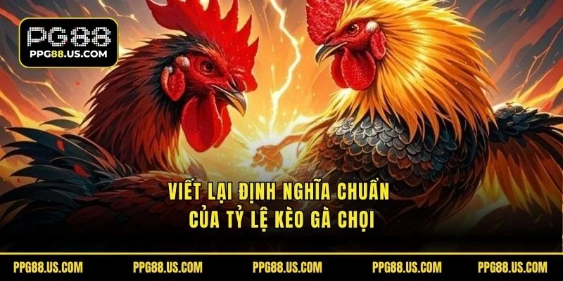 Viết lại định nghĩa chuẩn của tỷ lệ kèo gà chọi
