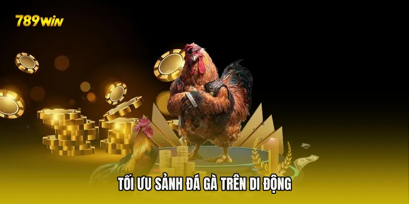Tối ưu sảnh đá gà trên di động