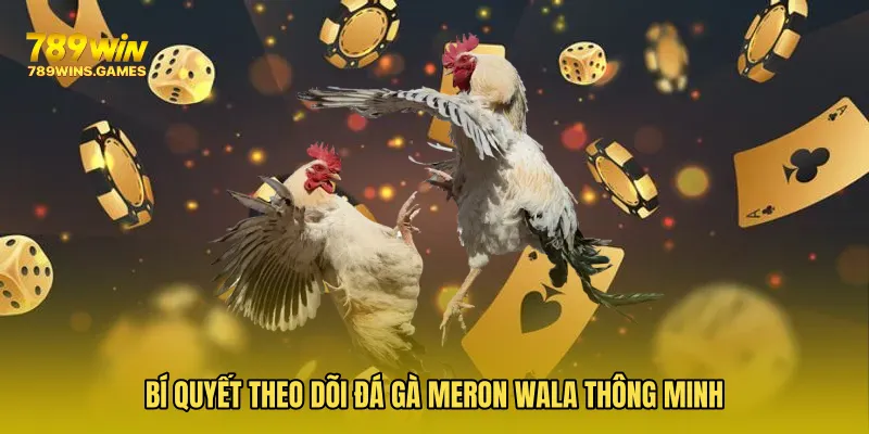 Bí quyết theo dõi Đá Gà Meron Wala thông minh