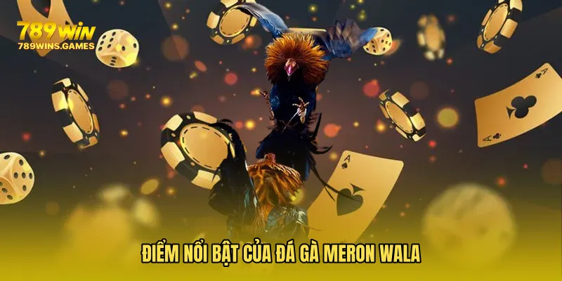 Điểm nổi bật của Đá Gà Meron Wala