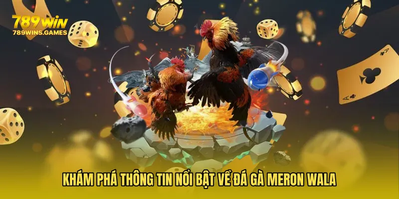 Khám phá thông tin nổi bật về Đá Gà Meron Wala